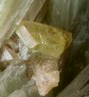 Macphersonite (yellow-brown crystal)