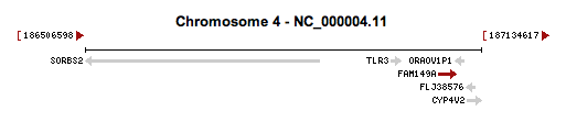 The location of FAM149A on chromosome 4 at 4q35.1 in Homo sapiens