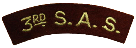 Arm patch of the 3e RCP
