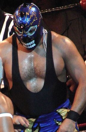 MPJ-DK (submissions) gained third place largely through his incredible work on luchadors. (Mephisto, part of the team that won the Mexican National Trios Championship, shown.)