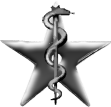 The Medicine Barnstar-For your excellent work at Chagas disease for WikiProject Medicine's Google Foundation project. Congratulations on being the first editor to completely update an article, and thank you for your ongoing contributions. WhatamIdoing (talk) 21:43, 20 May 2010 (UTC)
