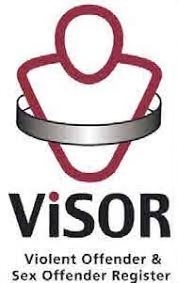 ViSOR logo