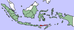 Location of Flores and surrounding islands in Indonesia