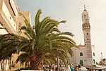 A mosque and a palm tree