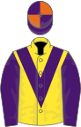 Yellow, purple chevron and sleeves, purple and orange quartered cap