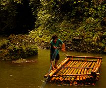 Ferryman using Bamboo raft, on the Pangil river