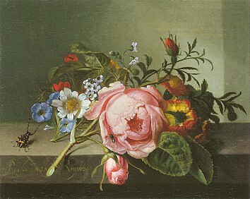 Rose branch with beetle and bee, 1741