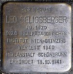 Stolperstein für Leo Seligsberger (Johanniterplatz 2)