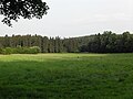 Am Großen Rohde in the Elm hills near Braunschweig
