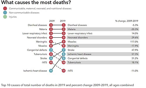 The 10 top causes of deaths in Niger.