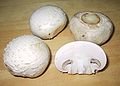 Image 39Agaricus bisporus, one of the most widely cultivated and consumed mushrooms (from Mushroom)