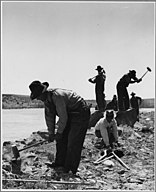 A group of men, all wearing similarly styled overalls and wide-brimmed hats, are bent over, kneeling, and standing in a field. It appears as though most also wield a hammer-like tool.