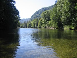The river Bienne