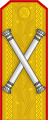 The epaulettes insignia of a Romanian marshal