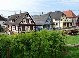Half-timbered houses and vineyards in Soufflenheim