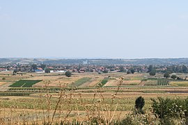 Town panorama