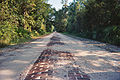 Old brick section of Dixie Highway