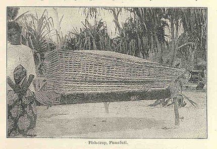 A fish trap in Funafuti, taken between 1900–1901
