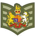 Service dress insignia