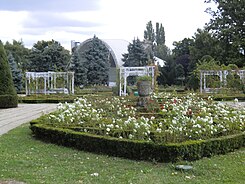 Parcul Rozelor