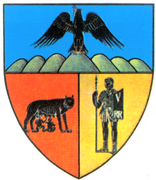 The coat of arms of Năsăud County, Romania