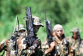 SEAL team members participate in a tactical warfare training.