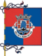 Flagge des Concelhos São Pedro do Sul