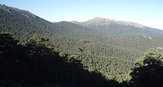 Valsaín Valley with the Siete Picos peak in the upper left and Montón de Trigo peak in the center