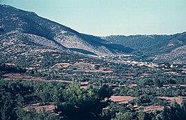 Panorama of Theologos from 1957