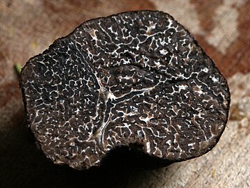 Black Périgord truffle, cut in half