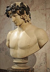 Bust of Antinous Hermitage Museum