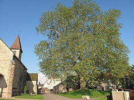 The church and surroundings in Préty