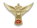 Helicopter Instructor