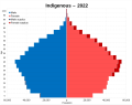 Image 34Native Argentines population pyramid in 2022. (from Indigenous peoples in Argentina)