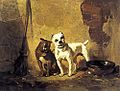 Best Of Friends - Bulldog & Bull Terrier