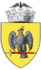 Coat of arms of Curtea de Argeș