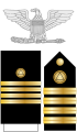 The eagle, shoulder boards, and sleeve stripes (dress blues + female dress whites) of a NOAA Corps captain