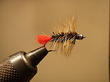 A Woolly Worm wet fly