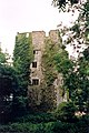 Bourchier Tower, at the heart of Bourchier & Fane derived Irish estate in county Limerick.