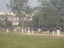 A game of cricket in progress