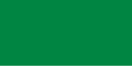 The flag of Libya in (1977–2011)