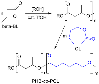 Kationische Copolymerisation von β-BL mit Caprolacton