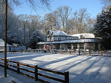 Ice rink in the snow