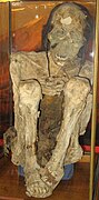 Mummy found in the Atacama desert