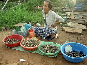 Shellfish for sale by the roadside