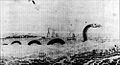 The first American sea serpent, reported from Cape Ann, Massachusetts, in 1639