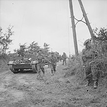 Soldiers and Universal Carriers of the 59th Division advance down a road
