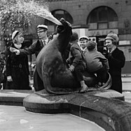 Children playing on a sea lion and a man throwing a coin, 1968
