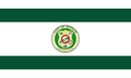Flag of Sipalay