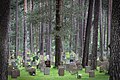 Gräber auf dem Skogskyrkogården